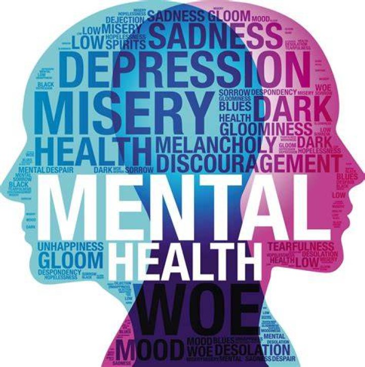 Anna Delvey And Mental Illness Theory, Some Assume She Underwent Major Health Surgery