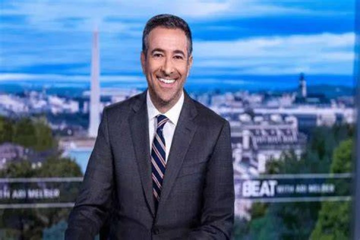 Ari Melber Brother Jonathan Melber Is An Author: Wiki And Age Gap
