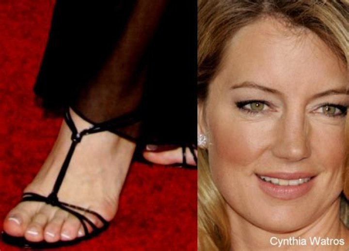 Cynthia Watros’s net worth, biography, fact, career, awards and life story
