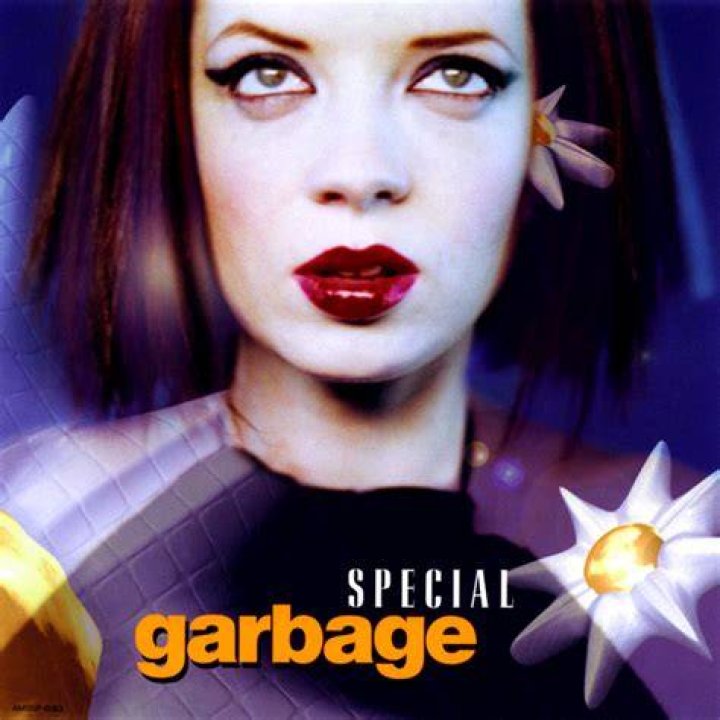 Garbage’s
Special Lyrics