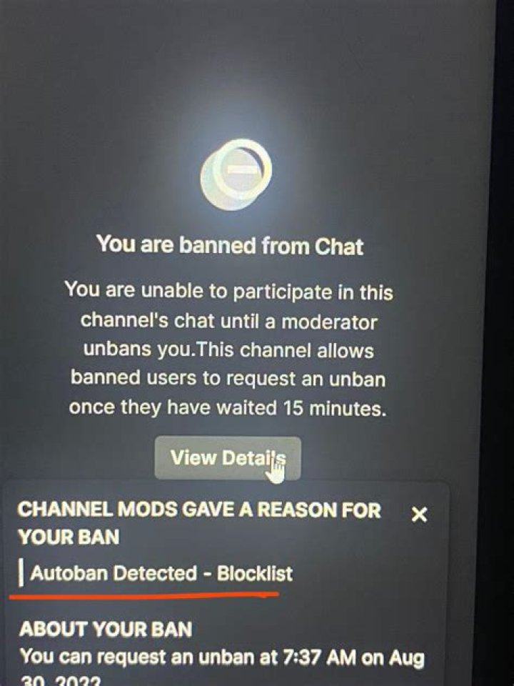 Icy Vixen On Twitch: Why was the streamer banned?