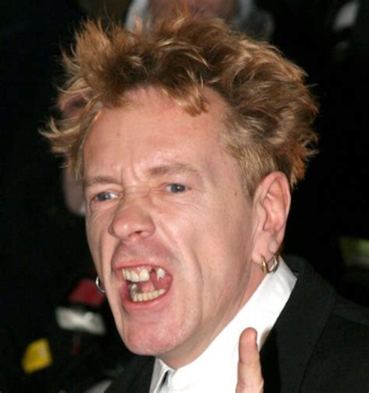 John Lydon Aka Johnny Rotten Net Worth, Income, Salary, Earnings, Biography