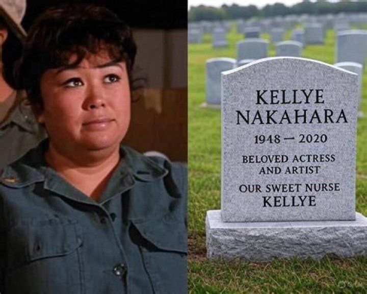 Kellye Nakahara’s Net Worth, Biography, Career, Awards, Fact and Life Story