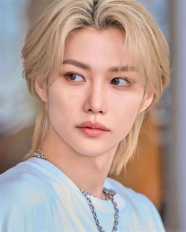 Lee Felix Bio, Wiki, Age, Family, Girlfriend, Music, Albums and Net Worth