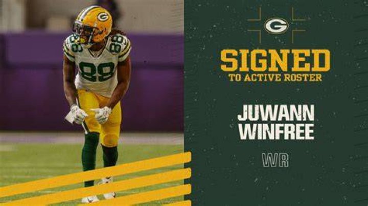 Packers: Who Is Juwann Winfree? Everything On His Parents And Ethnicity