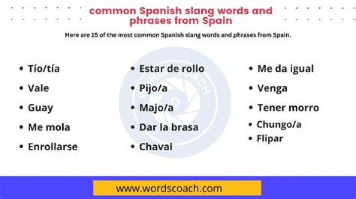 What does pajero mean in spanish slang