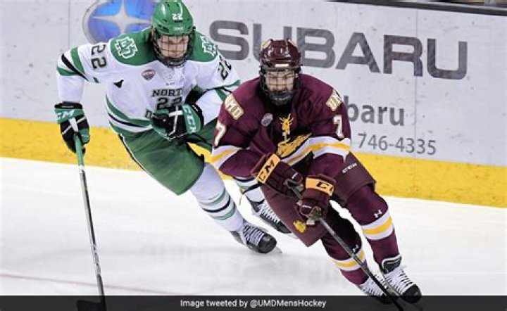 What Happened To Teddy Balkind? Greenwich Hockey Player Dies On Ice Collision -Details To Know