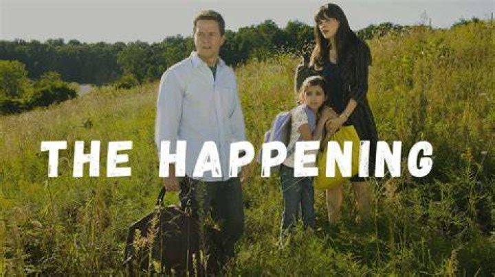 Who is joey in the happening